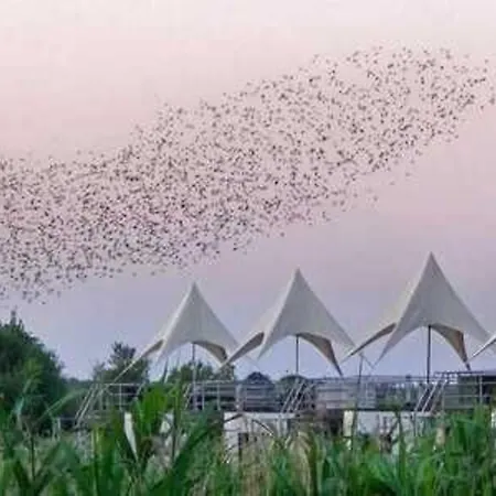 Ботель Hausboot Kontiki - Lp8 *